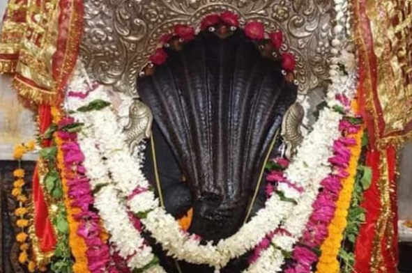 कालसर्प दोष मुक्ति पूजा